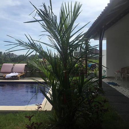 Pererenan Nengah Guest House Canggu Kültér fotó